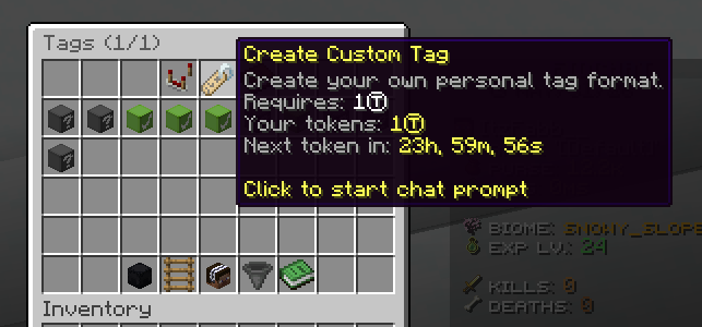 FioTags Custom Player Tag